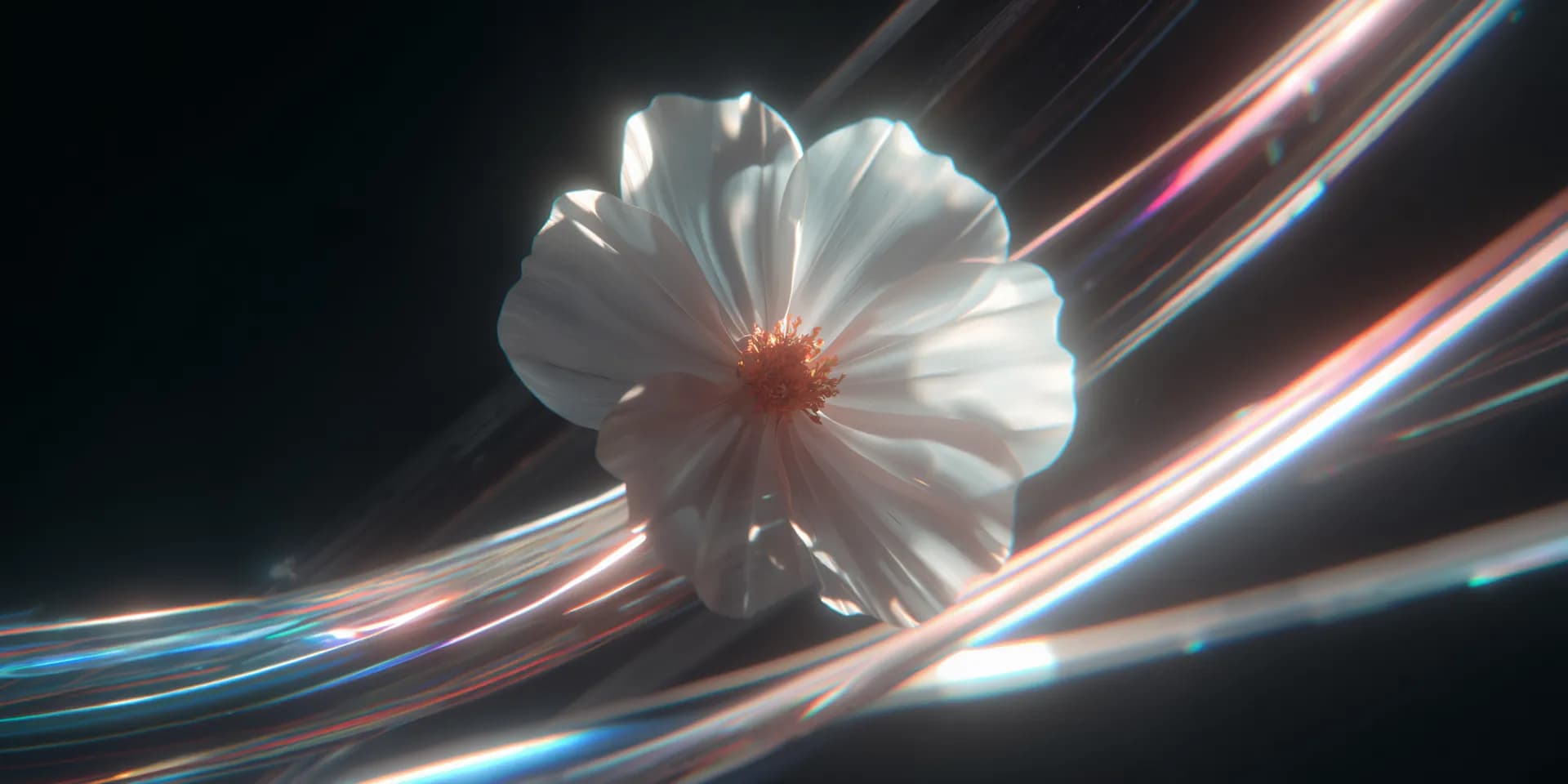 3D Creation